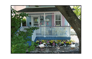 colorful cottage with white ducks