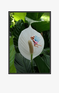flying fairy with white flower