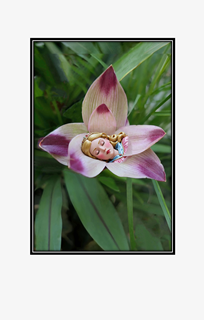 sleeping princess in flower