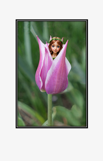 peeking fairy in purple tulip