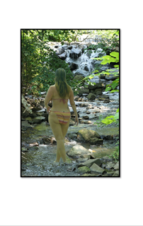 Stream Walk